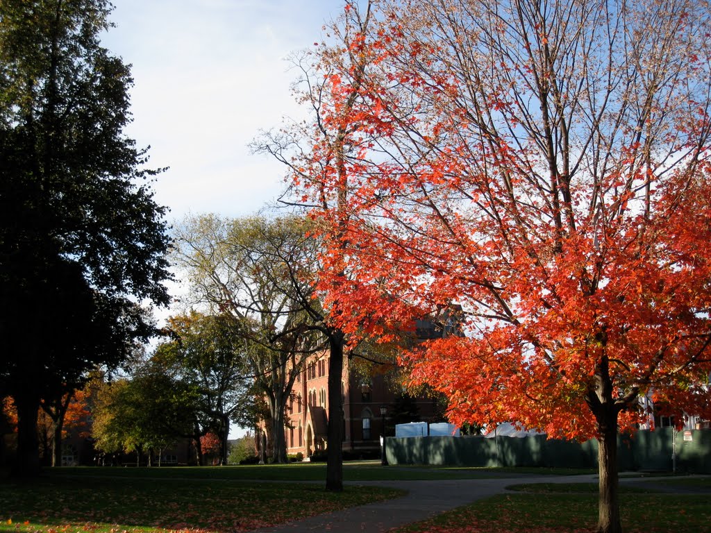 Tufts campus in autumn
