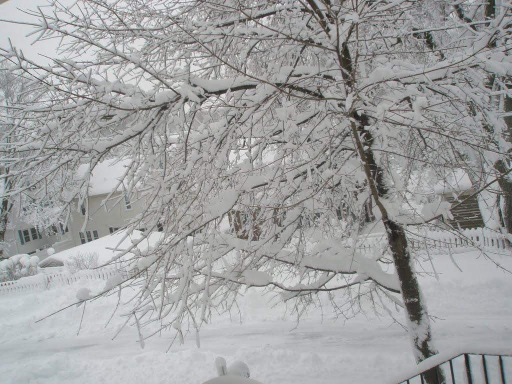 Medford, Lawrence Estates after a noreaster 2011