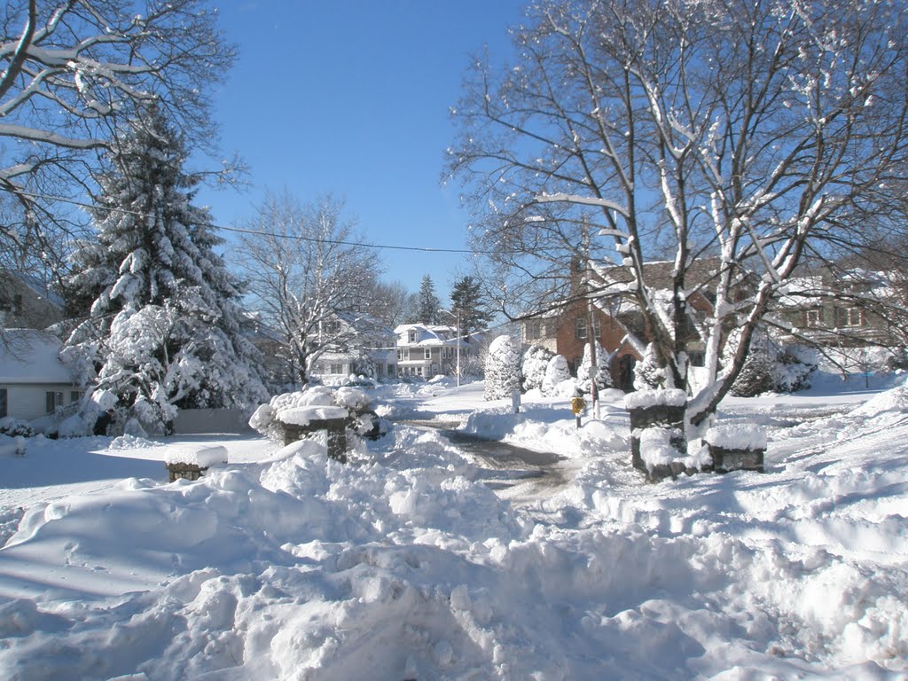 Medford, noreaster 2011, what a mess!