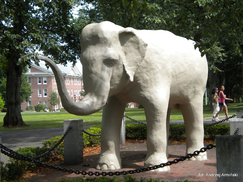 Tufts University