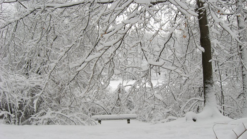 Middlesex Fells Reservation