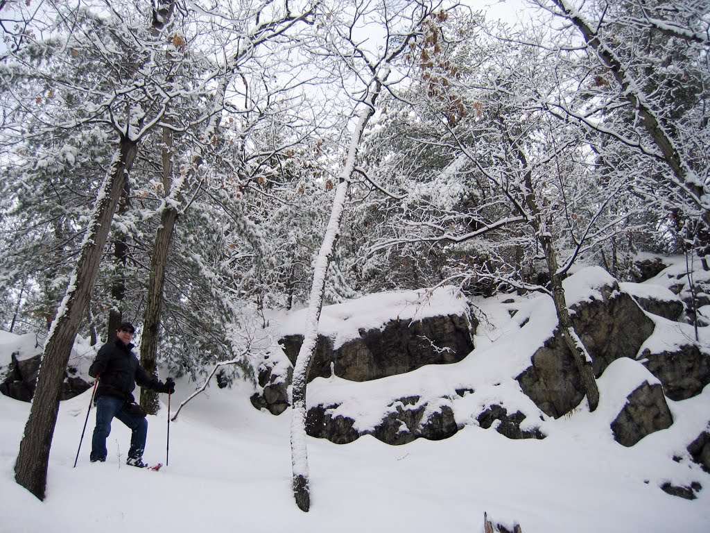 Middlesex Fells in Winter