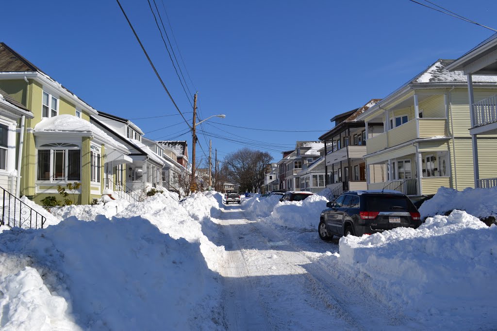 Stanley Ave after Blizzard 2013