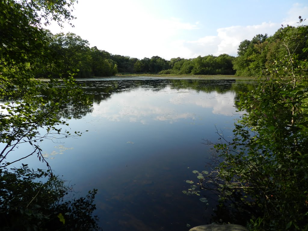 Framingham