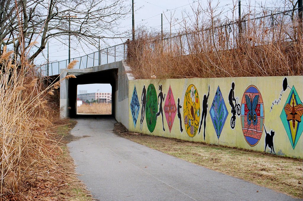 Art mural on the Neponset River Trail, Dorchester, MA