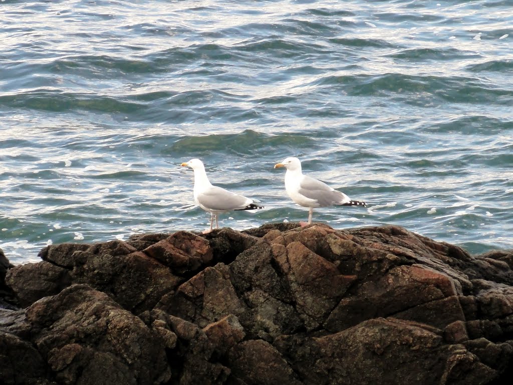 Nahant