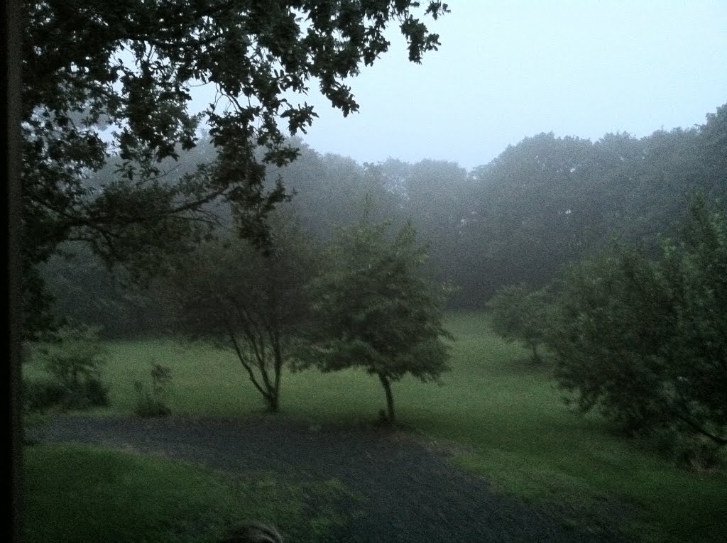 Nahant mist