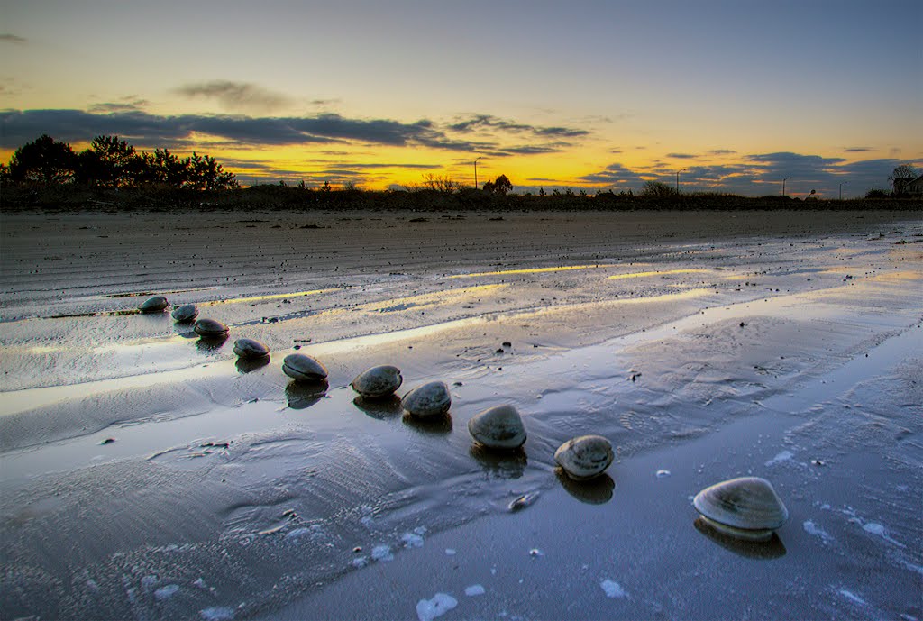 The Clams at Nahant, MA