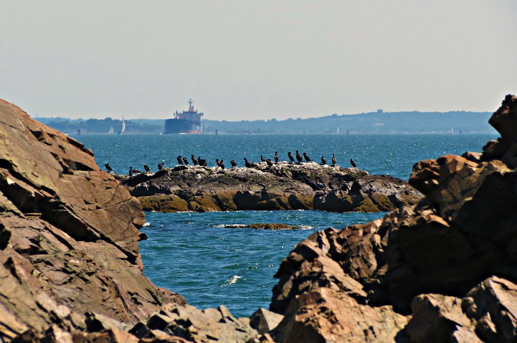 Nahant marine reservation of Northeastern University