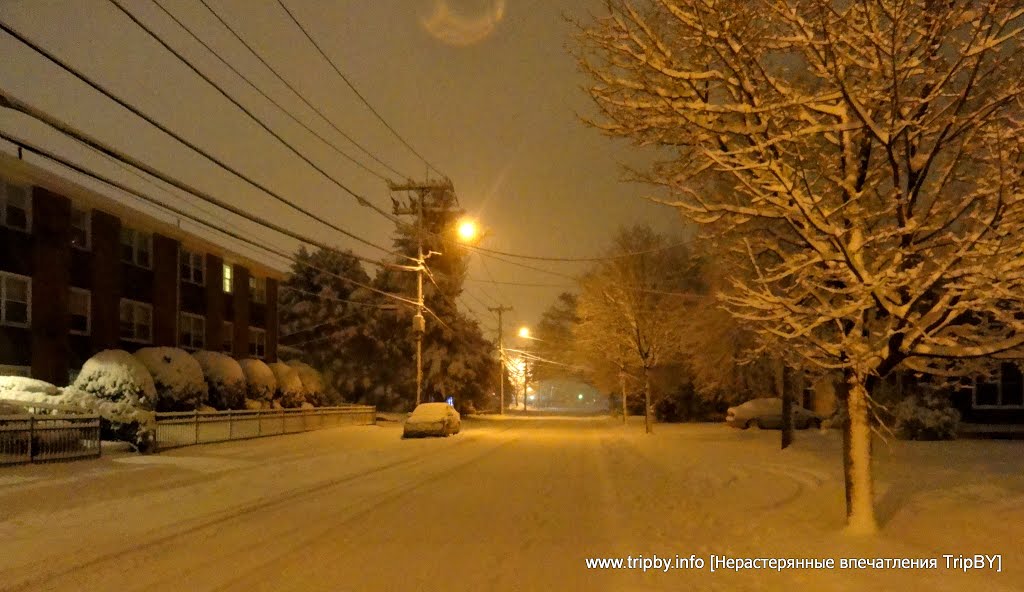 Winter Road