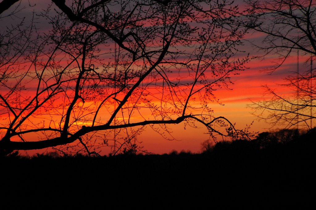 Sunset with the Needham Towers