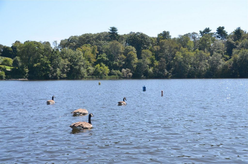 Rosemary Lake