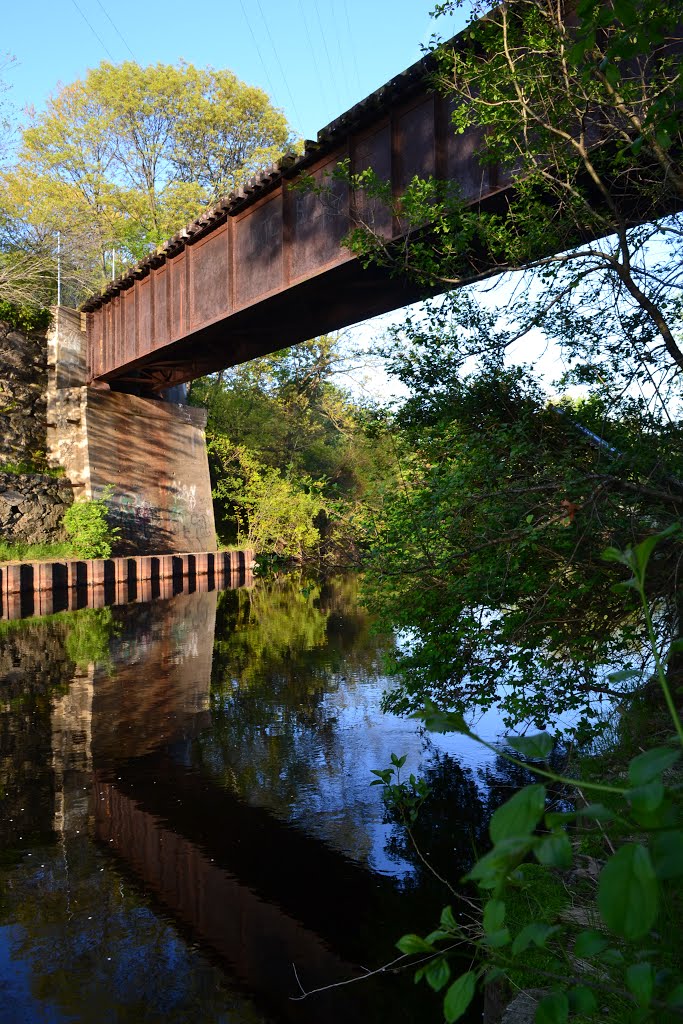 Below an abandoned train bridge over the Charles River