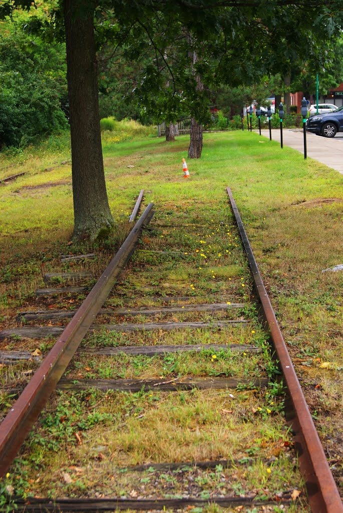 The end of old abandoned railroad…