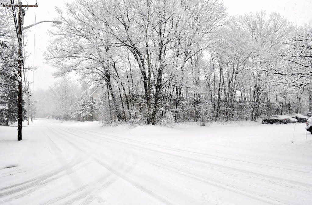 Heritage Green in White