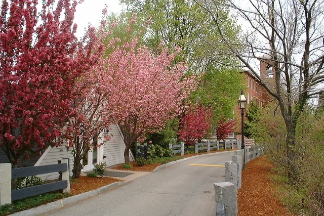 Entry road along the Dam