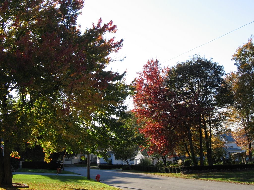 Sylvan Terrace