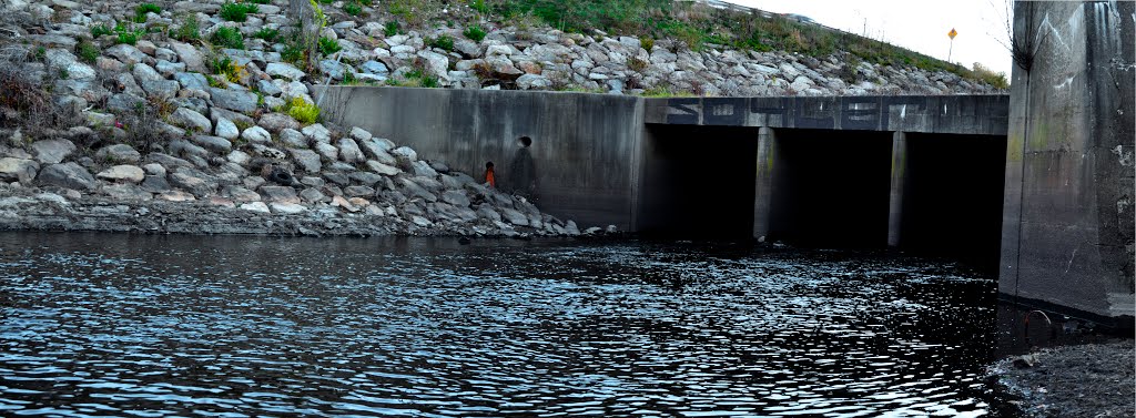 The Shawsheen River Empties into the Merrimack River