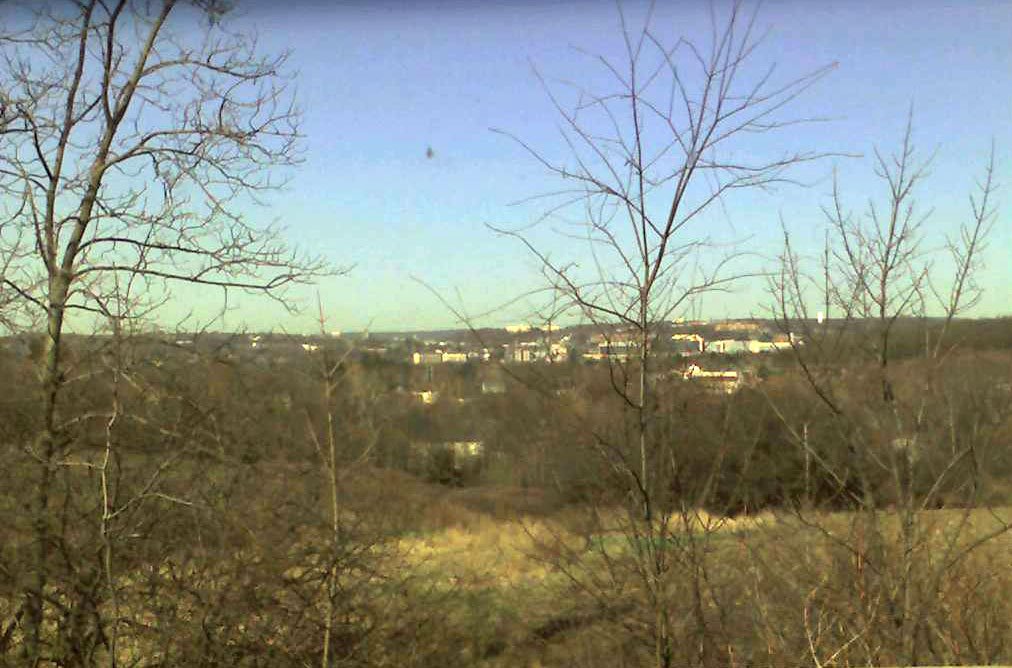 View From The Worcester County Foodbank