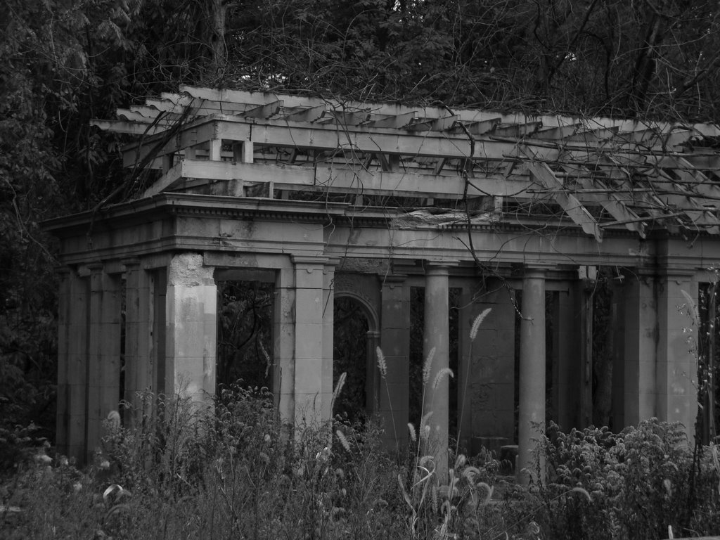 Spooky Pergola in Prospect Park