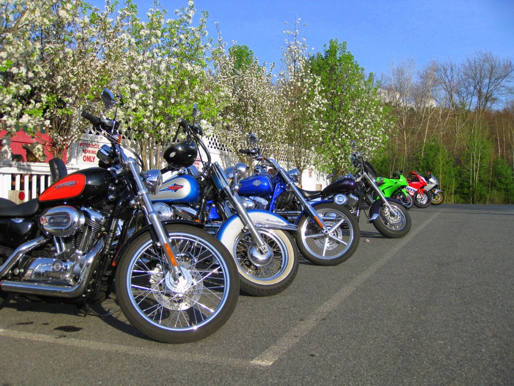 Willikers April 2009