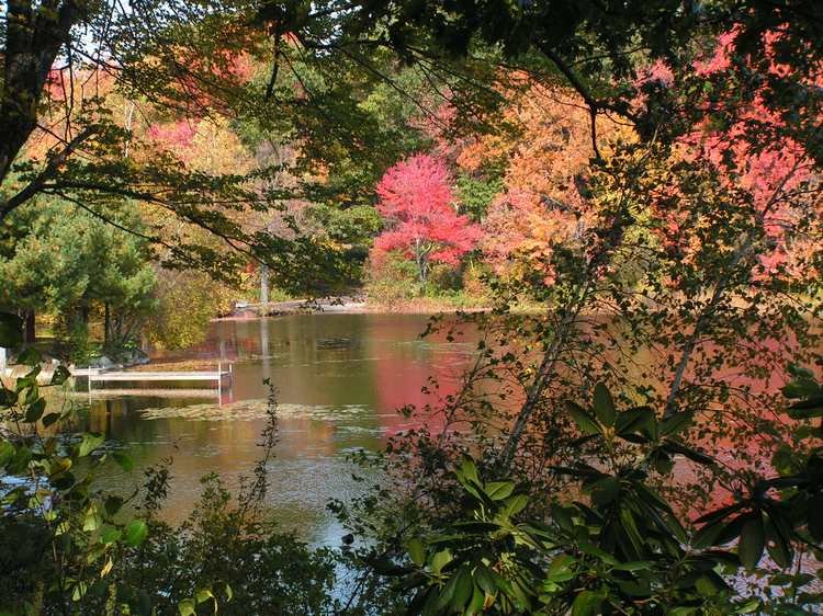 Rocky Pond