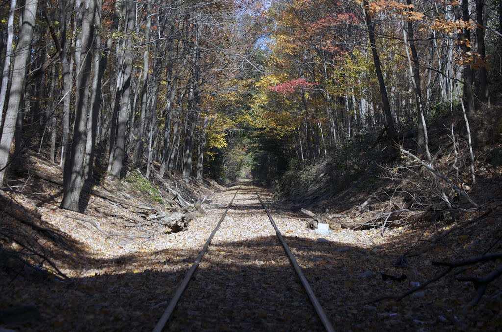 tracks leading north