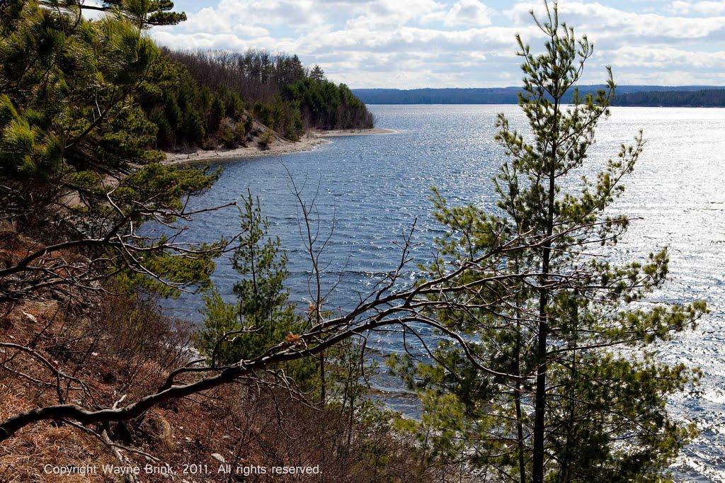 Wachusett Waters