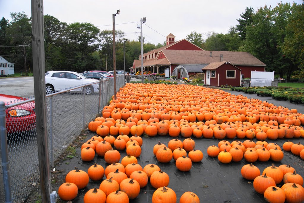 Davidian Brothers Farm
