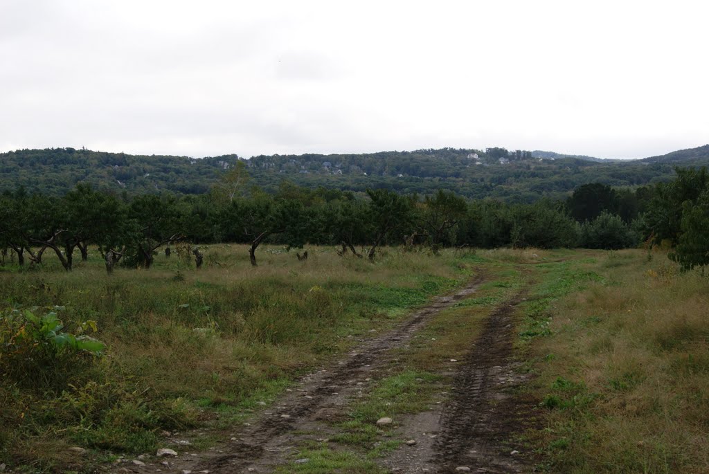 Farming Area, Ball St. SWS look