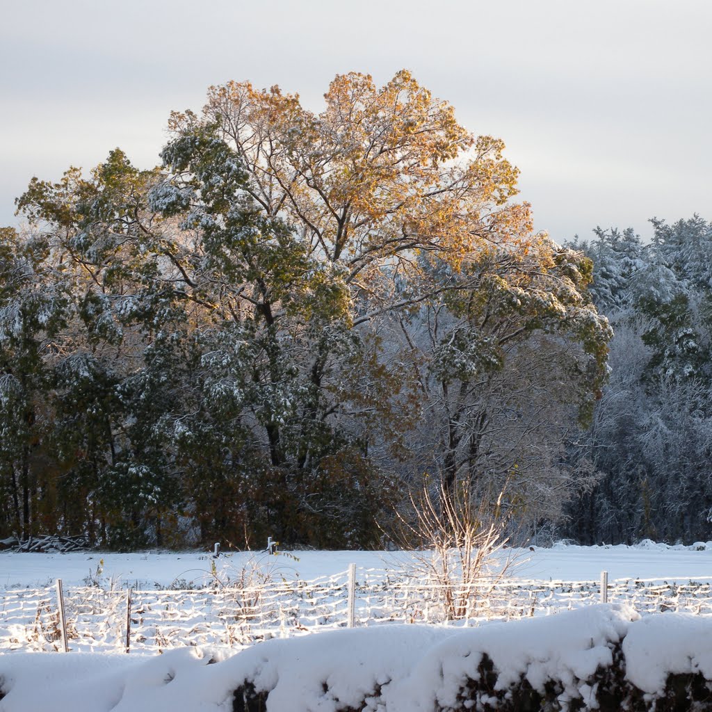 early season snowstorm