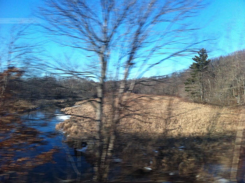 Grafton