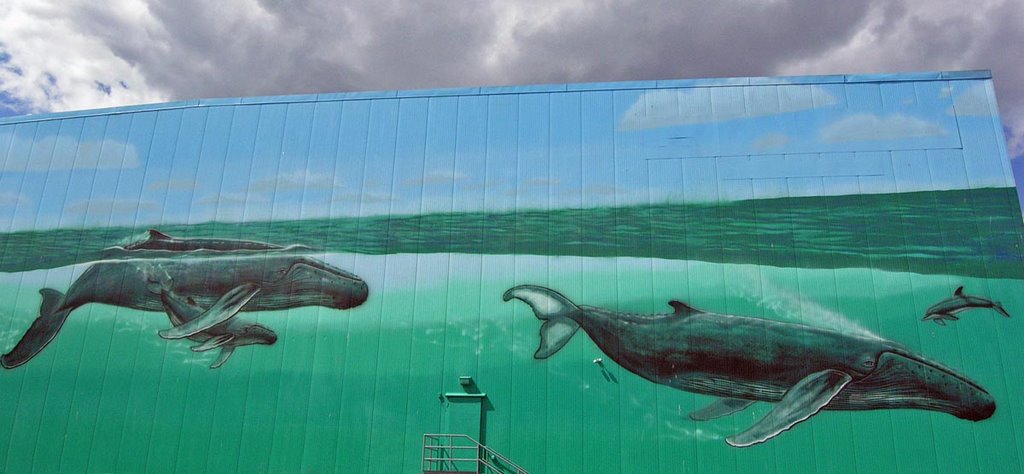Whales of New Bedford