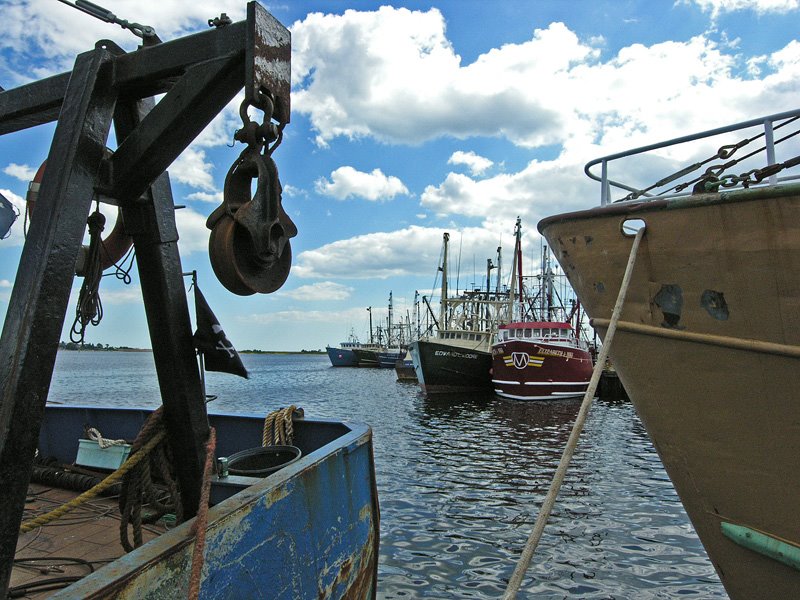 Fishy Harbor