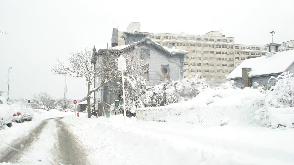 State St.