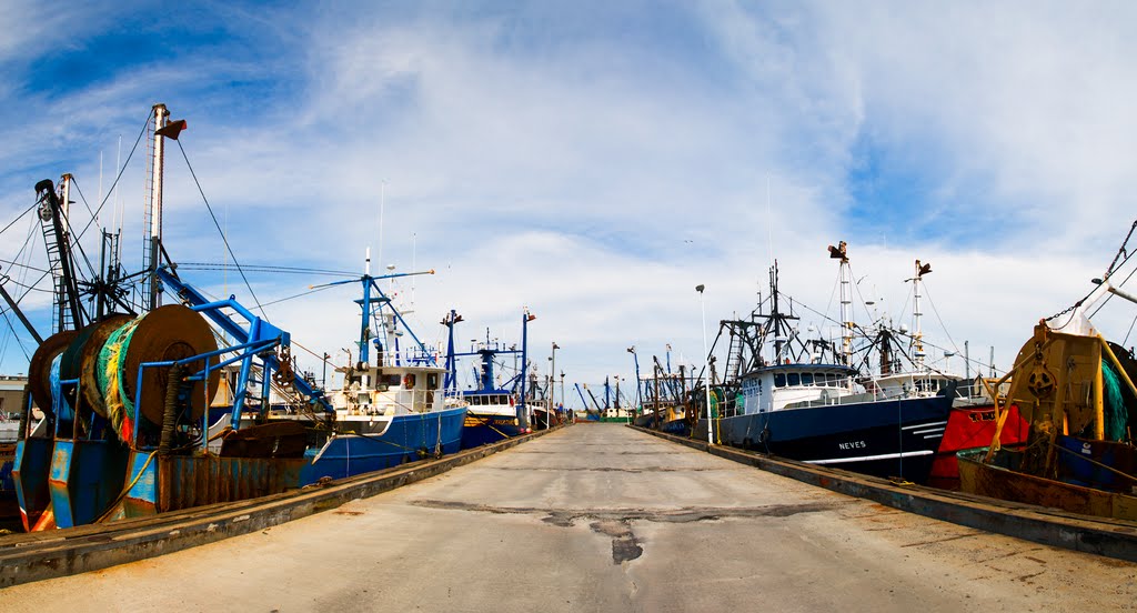 on the dock