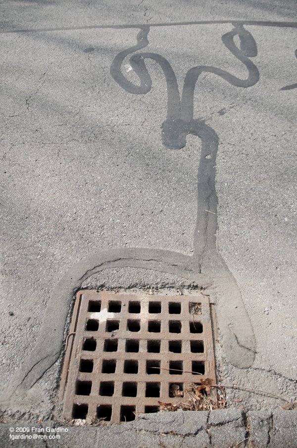 Tall Drain Pic on Squiggle Street