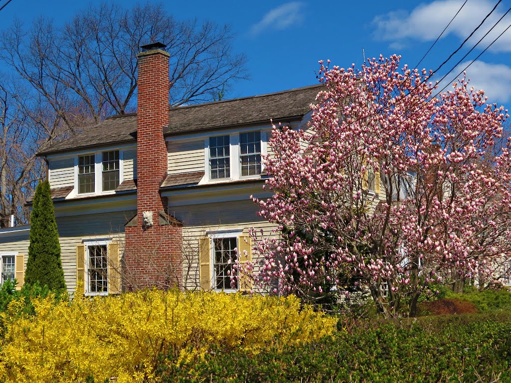 Newton Highlands