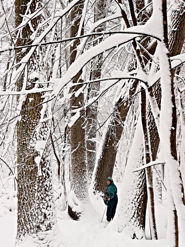 Cold Spring Park after a snowstorm
