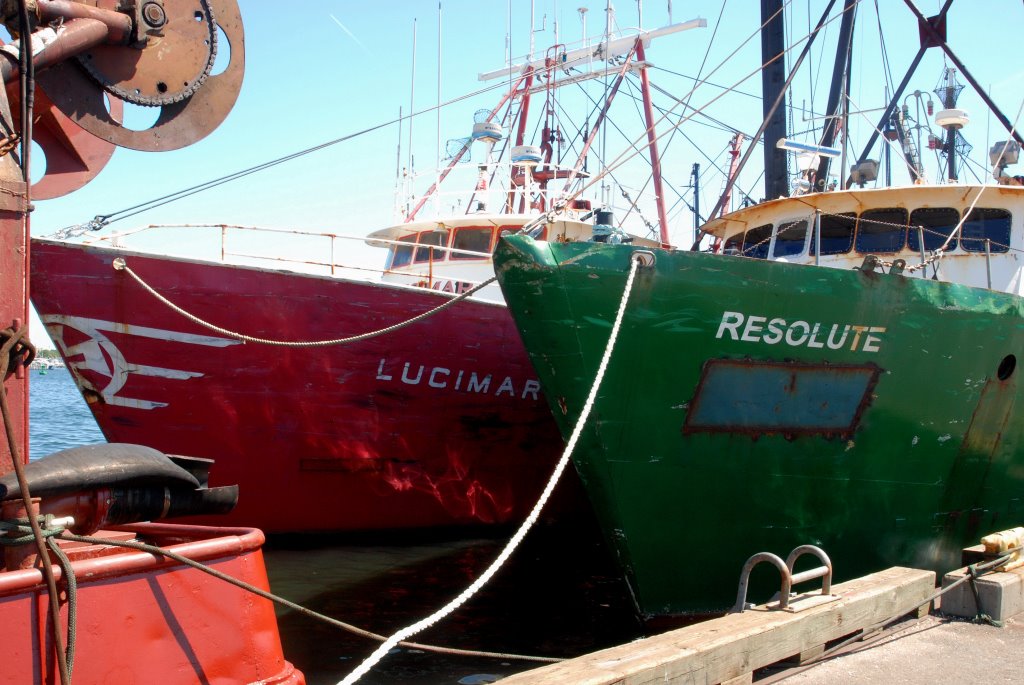 "Real World" Working Boats, at the New Bedford Commercial Wharf.