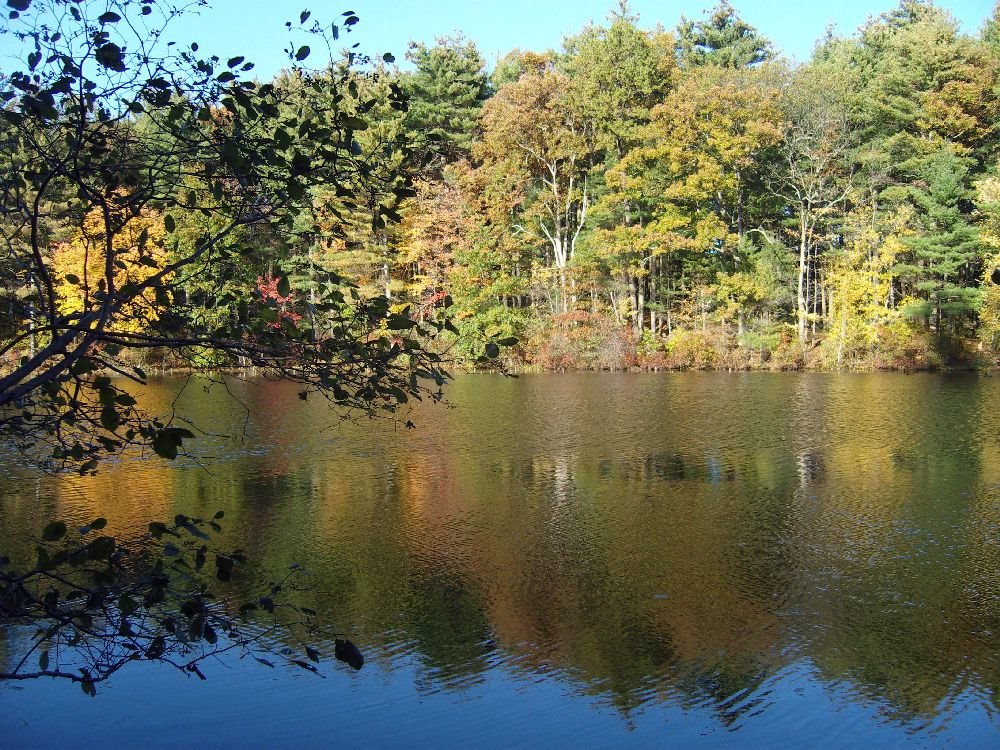 Herbst in Amerika