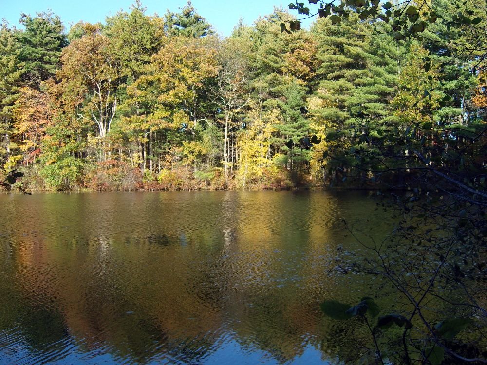 Herbst in Amerika