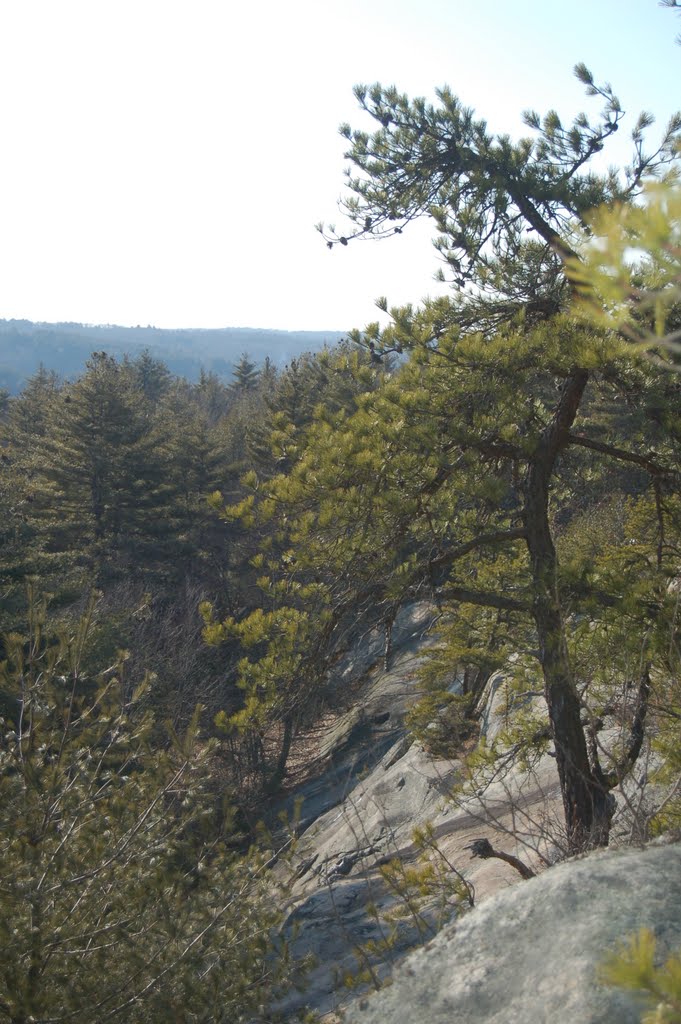 Shining Rock