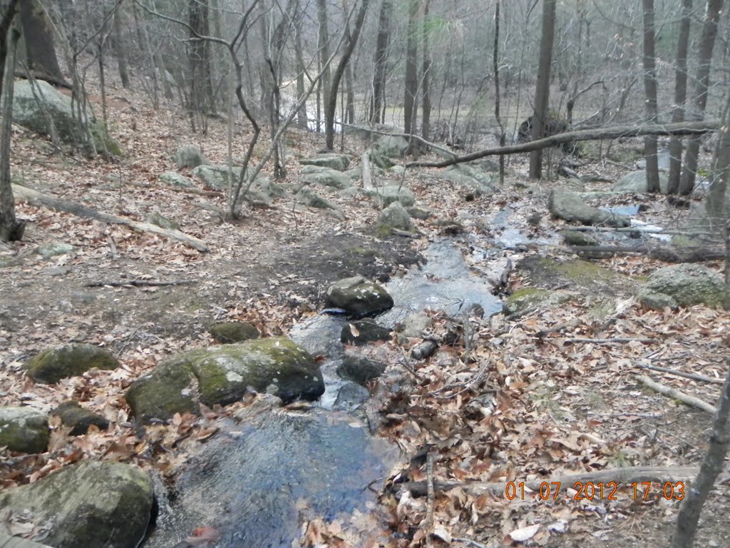 brook that feeds into the blackstone river