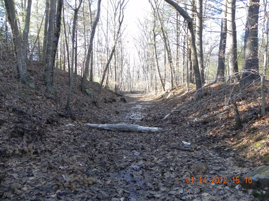 old dried up blackstone canal
