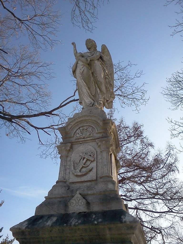 Naval Angel