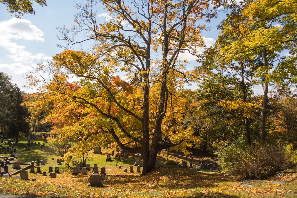 New England Fall