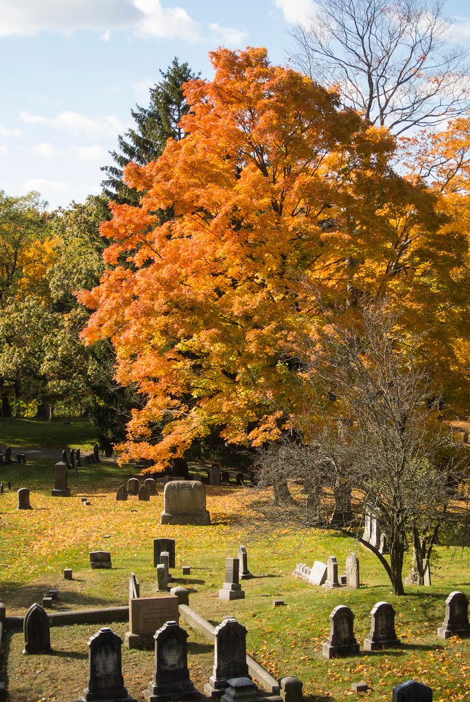 New England Fall