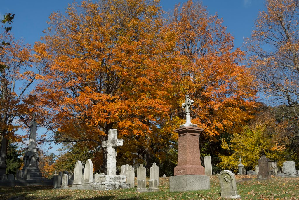New England Fall