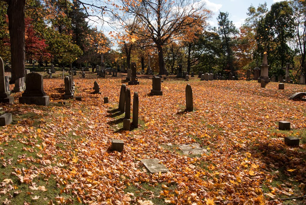 New England Fall